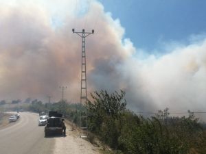 Kozan’da Çıkan Orman Yangını Hızla Büyüdü, Köyler Boşaltılıyor