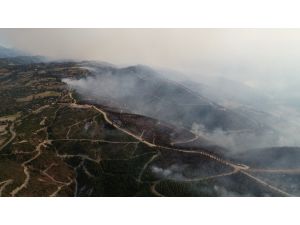 Yanarak Kül Olan Yüzlerce Hektar Kızılçam Ormanı Havadan Böyle Görüntülendi