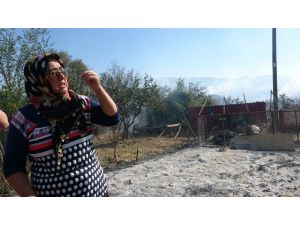 Telef Olan Hayvanları İçin Gözyaşı Döktü