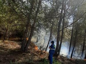 Düziçi’nde Çıkan Orman Yangını Büyümeden Söndürüldü