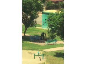Antalya’da parkta kadına darp