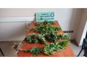 Gaziantep Emniyetinden 160 Kişiye İşlem