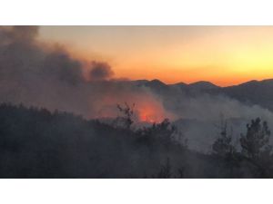 Orman Yangını Kontrol Altına Alındı, 3 Kişi Gözaltında