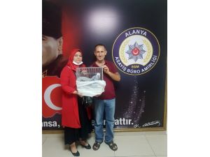 Çalınan ödüllü papağanı polis buldu