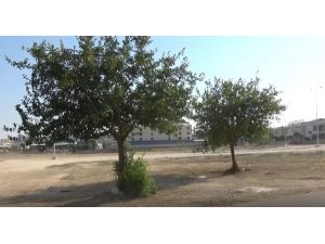 Karısını Bıçaklayarak Öldüren Katil Zanlısının Yakınları Konuştu