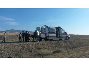 Nallıhan-ankara Karayolunda Kaza: 2 Yaralı