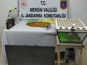 Mersin’de Kumar Oynayan 35 Kişiye 166 Bin 63 Lira Para Cezası