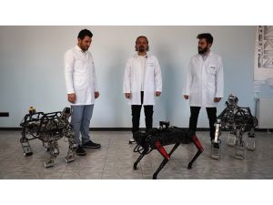 Dört Ayaklı Robot Arat Geliştirilmeye Devam Ediyor