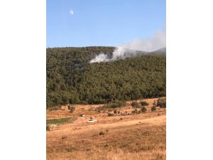 Ormanlık Alanda Çıkan Yangın Büyümeden Söndürüldü