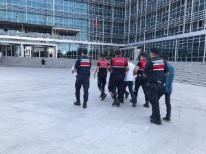 Jandarma, Çiftçinin Ürününü Çalanlara Göz Açtırmıyor