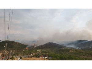Ankara’da Orman Yangını
