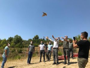 Manavgat’ta 100 adet kınalı keklik doğaya bırakıldı