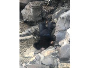 Akşam Eve Gelmeyen Çoban Kayalıkların Arasında Ölü Bulundu