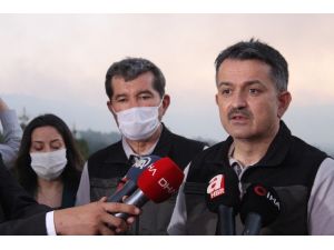 Bakan Pakdemirli: “Nemin Az Olmasından Dolayı Bütün Ormanlarımız Çıra Gibi”