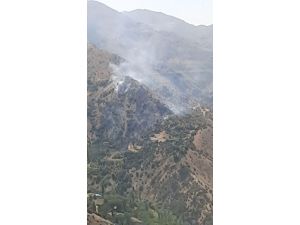 Isparta’daki Orman Yangını Kontrol Altına Alındı