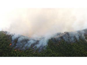 Samandağ’da Orman Yangını Drone İle Havadan Görüntülendi