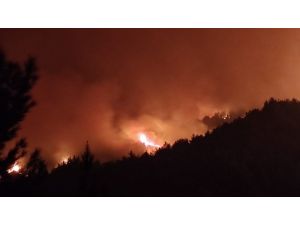 Hatay’da Kontrol Altına Alınan Yangın Tekrar Alevlendi