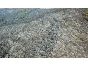 Hatay’daki Yangında Zarar Gören Orman Alanları Drone İle Görüntülendi