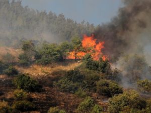 Kahramanmaraş’ta 1 Hektar Orman Alanı Yandı