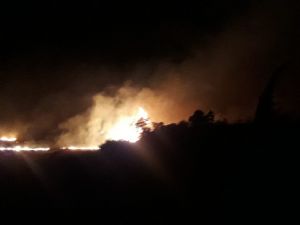Antalya’da kırsal alan yangını
