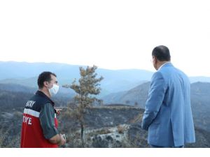 Savaş: "3 Bin Hektarlık Alandaki Yangında Ağaçlarımızı Ve Birçok Canlıyı Kaybettik"