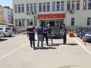 Hayvan Hırsızları Yakalandı, 5 Faili Meçhul Olay Aydınlatıldı