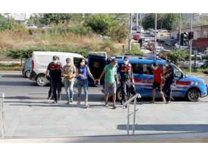 Fotopakana bu sefer avokado hırsızları yakalandı