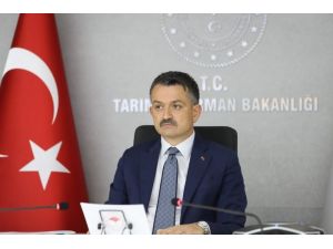 Bakan Pakdemirli, G20 Tarım Ve Su Bakanları Toplantısı’na Katıldı