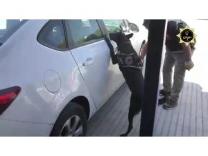 Yüklü Miktarda Kokainin Kente Girişini Jibby Engelledi