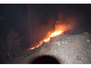 Antalya’daki orman yangınının ilerlemesi durduruldu