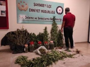Gaziantep’te 12 Kilo Esrar Ele Geçirildi