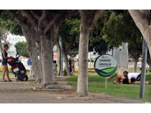 Antalya’nın göbeğinde kuzenlerin bitmek bilmeyen kavgası