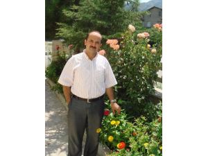 Isparta’da Ceviz Ağacından Düşen İmam Hayatını Kaybetti