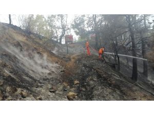 Kahramanmaraş’ta 1 Hektar Ormanlık Alan Zarar Gördü