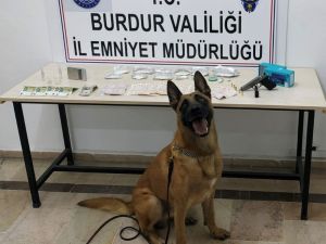 Uyuşturucular Narkotik Köpeği Sarik’e Takıldı