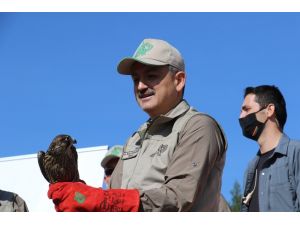 Bakan Pakdemirli Hayvanları Koruma Günü’nde Yaban Hayvanlarını Doğa İle Buluşturdu