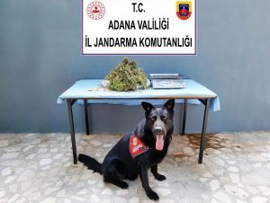 Feke’de Uyuşturucu Operasyonu