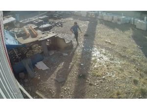 Tavukları Torbaya Koyup Çaldı