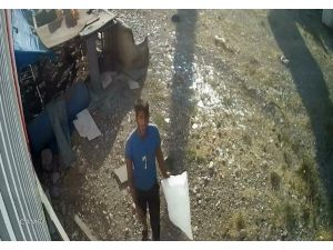 Torba İle Tavuk Çalan Hırsızlık Zanlısı Yakalandı
