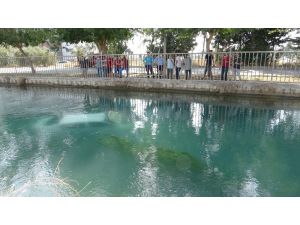 Sulama Kanalında Ölmekten Kurtulan İmam Bu Kez İki Can Kurtardı