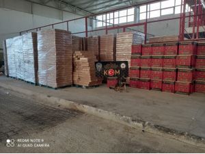 Adana’da 5 Milyon 350 Bin Adet Kaçak Makaron Ele Geçirildi