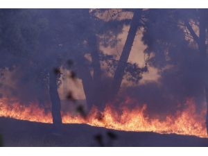 Hatay’daki Yangın Farklı Noktalara Sıçradı