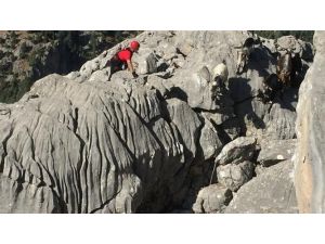 Kayalıklarda Mahsur Kalan Keçileri Jandarma Kurtardı