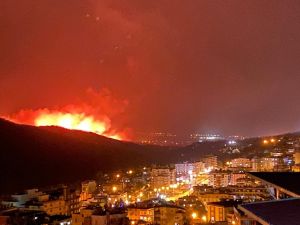Hatay’da Orman Yangınları