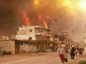Suriye’de Orman Yangını Devam Ediyor