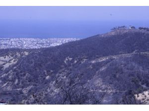 Hatay’daki Orman Yangınına Müdahale Sürüyor