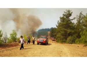 Kahramanmaraş’ta Orman Yangını