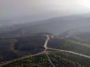 Hatay’da Yangını Soğutma Çalışmaları Sürüyor
