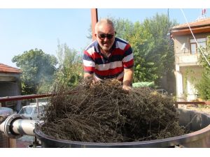 Korona Virüsle Mücadelede Doğal Dezenfektan: Kekik Suyu