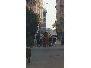 Kadınlar saç saça baş başa kavga etti, erkekler film izler gibi izledi